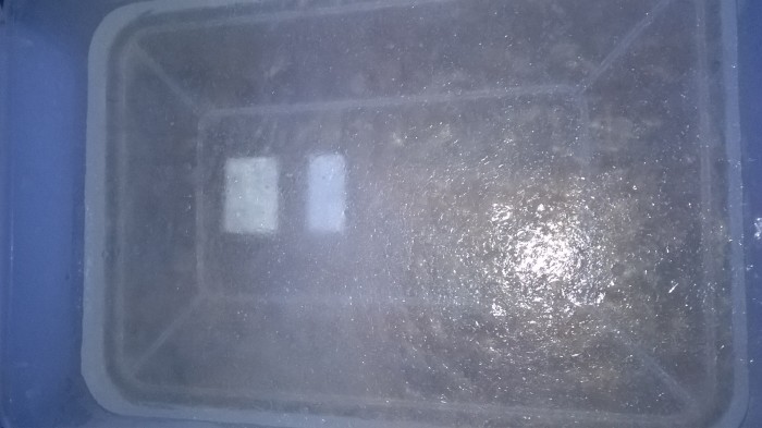 WP_20181116_050.jpg