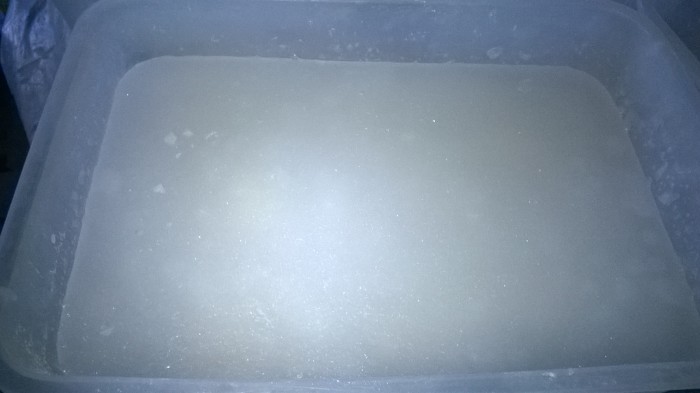 WP_20181116_082.jpg