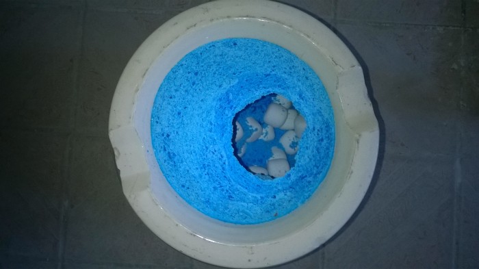 WP_20181120_054.jpg