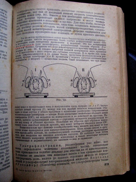 Копия IMG_4484.JPG