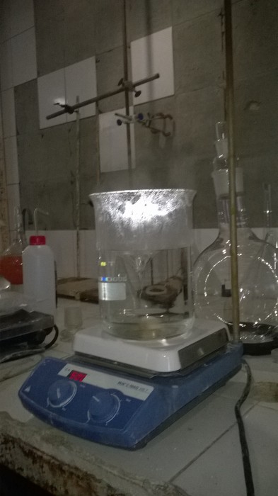 WP_20181121_029.jpg