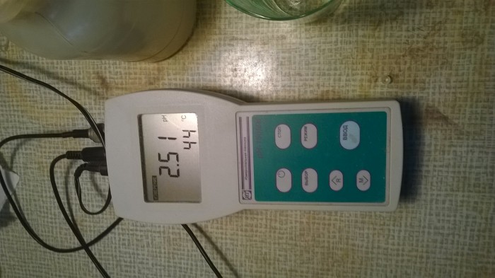 WP_20181121_054.jpg