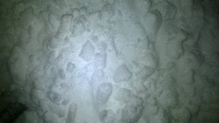 WP_20181123_002.jpg