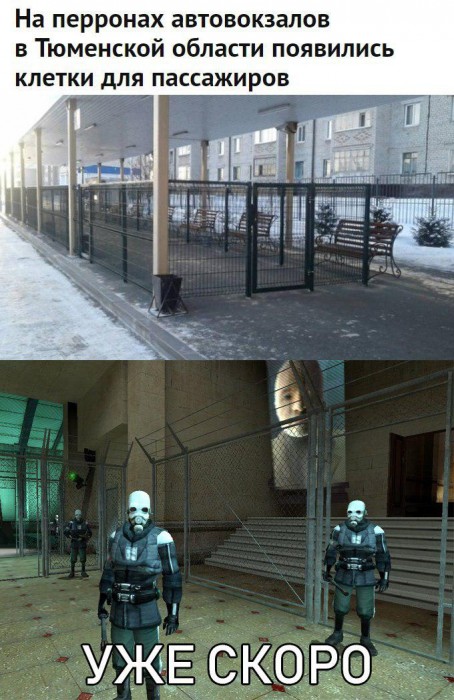 HL2_в_жизни.jpg