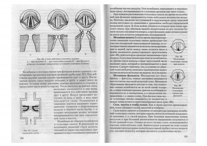 1neyman_l_v_bogomil_skiy_m_r_anatomiya_fiziologiya_i_patologi_077.jpg