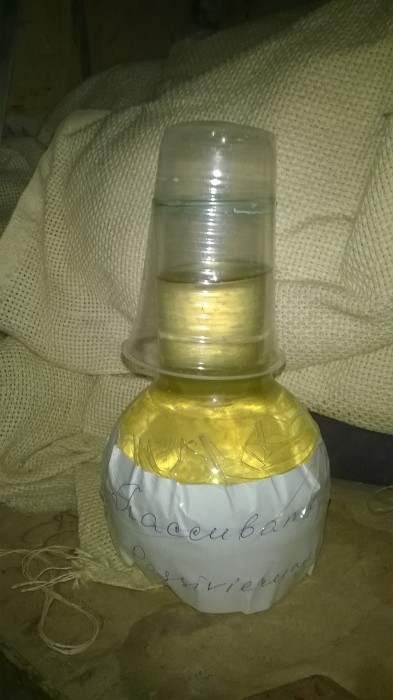 WP_20190610_005.jpg