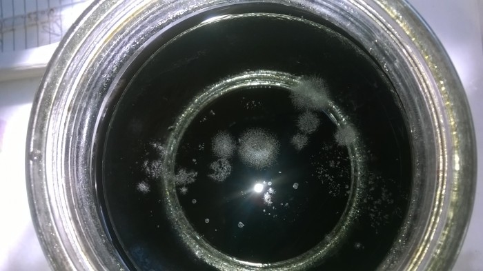 WP_20190828_002.jpg