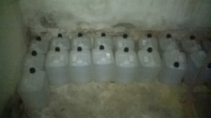 WP_20191031_007.jpg