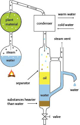 materials-essential-oil-steam-distillation.jpg