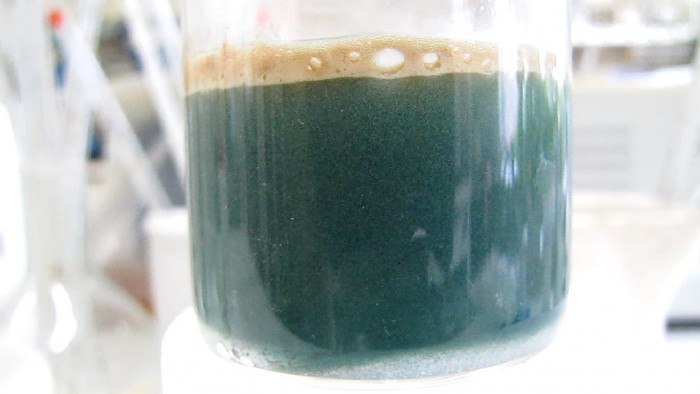 Reduction_permanganate-aluminium-lithium_hydroxide-24.jpg