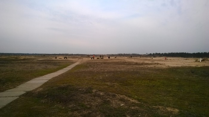 WP_20200226_009.jpg
