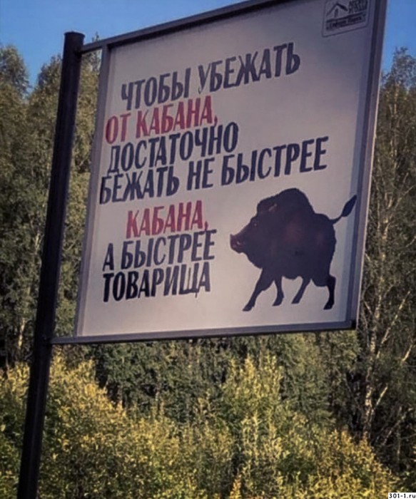 kak-mozhno-ubezhat-ot-kabana_aaM0IRPgM5.jpg