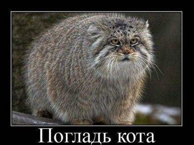 f_17910002.jpg