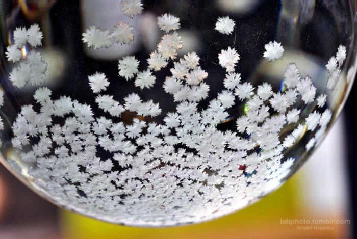Crystals from the lab3.jpg