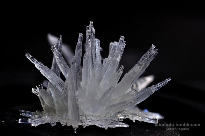 Crystals from the lab4.jpg