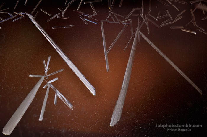 Crystals from the lab5.jpg