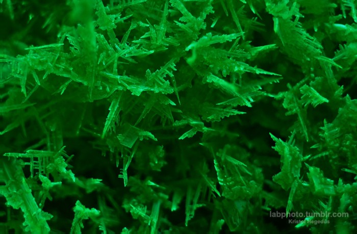 Crystals from the lab9.jpg
