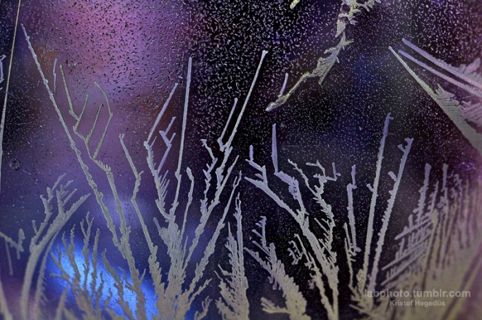 Crystals from the lab10.jpg