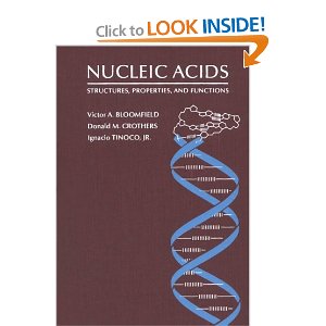 Nucleic Acids.jpeg
