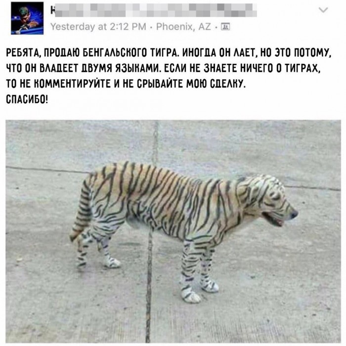 EgWZFX_WAAMPj3E.jpg