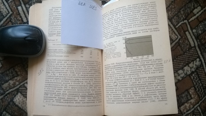 WP_20200919_006.jpg