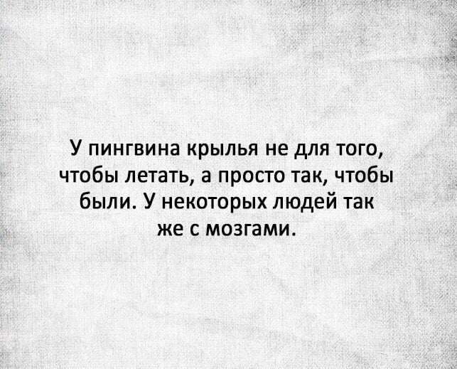 Пингвин.jpg