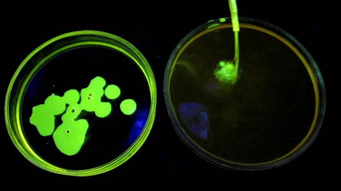 Water_extinguishes_fluorescence-curcumin-60.jpg