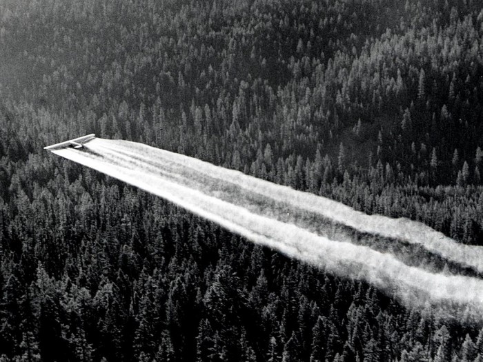 Fort_tri-motor_spraying_DDT._Western_spruce_budworm_control_project._Powder_River_control_unit.jpg