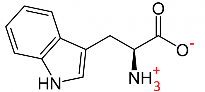 1280px-L-Tryptophan_-_L-Tryptophan.png