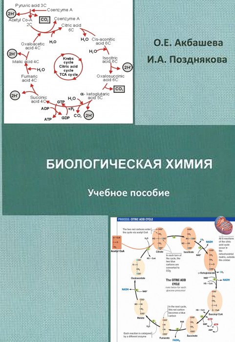 АКбашева.jpg