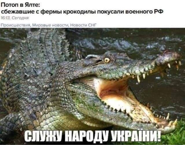 Кусаются.jpg