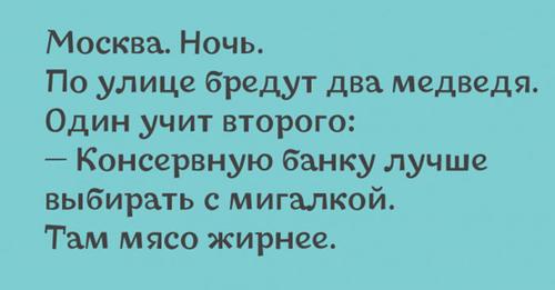 2 медведя.jpg