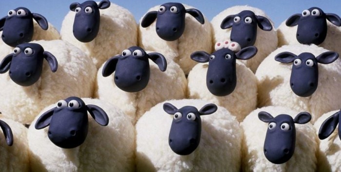Овцы.jpg