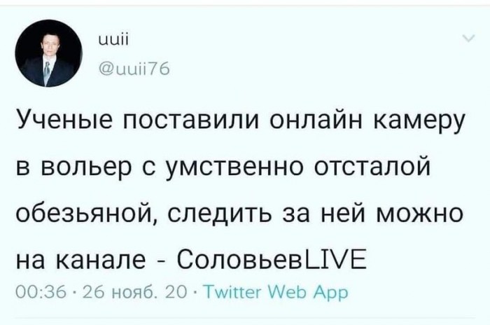 Обезьяна.jpg