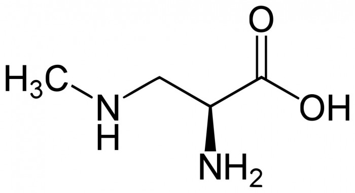 3-Methylamino-L-alanine.jpg