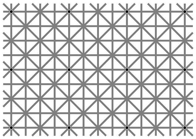 313318899_536222195180169_3550331793665804001_n.jpg