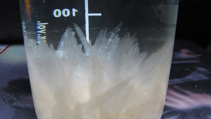 Crystallization_of_potassium_nitrate-30.jpg