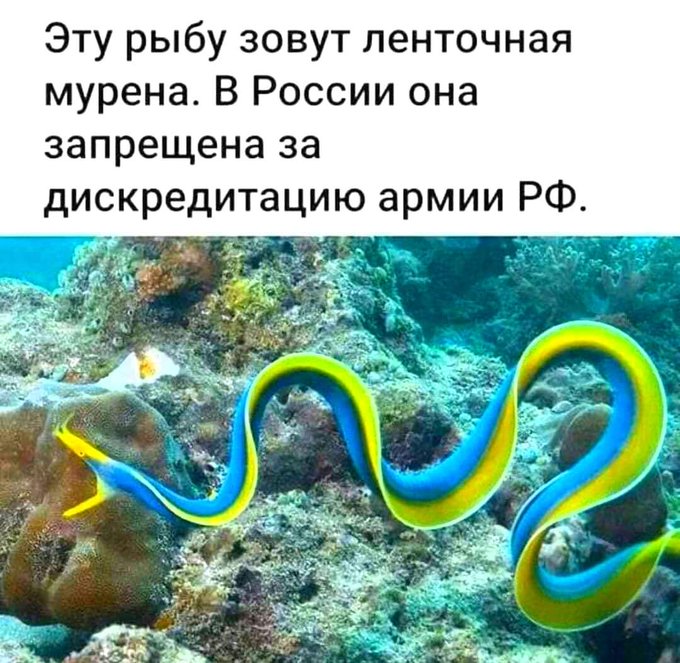 343963577_251929553915603_582334480633246016_n.jpg