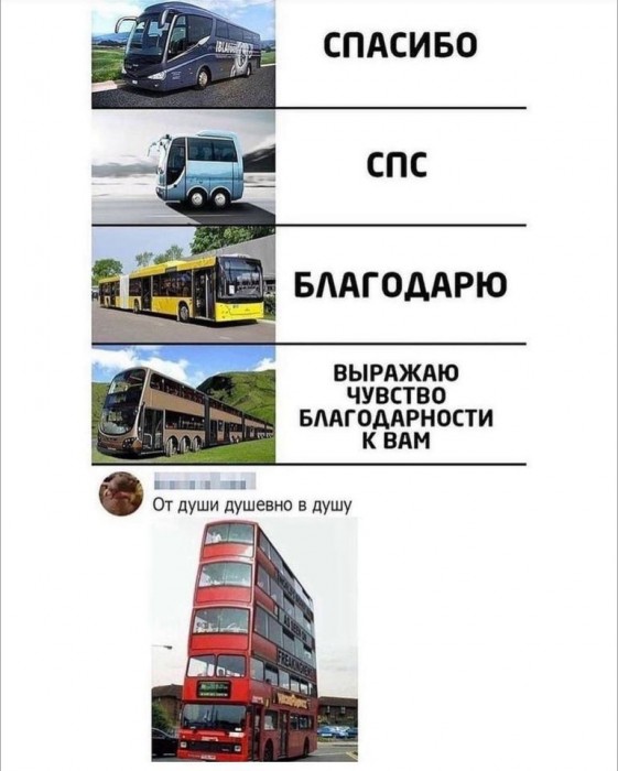 343209346_723127716226651_7583672835348019970_n.jpg
